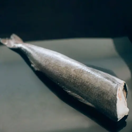 Cá tuyết than Alaska (Black Cod) - Nguyên con (H&G) 1.8 - 2.2kg